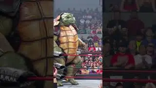 Turtle Wrestler Monster #fighter #wwe #monster #turtlefighter #actionfigures #wrestlingring