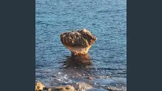 Kamenice, prstići i mojci ...