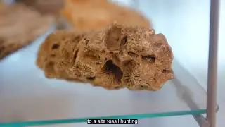 Adel Avery (Mary Anning: Making Waves)