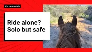 Riding Endurance Horses Alone: Why I Do It & How I Stay Safe