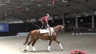 Hanna Steverding freestyle