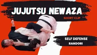 Newaza with Atemi &bull; Self Defense Randori || JUKIDO JUJUTSU (jiu-jitsu / jujitsu)