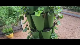 Wisconsin Vegetable Gardening. 🌱 Preparedness.
