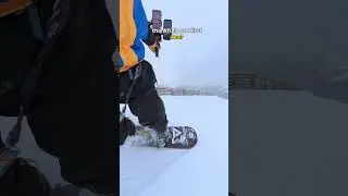 Отчет о курорте Трейлер Том, округ Арапахо, 31.01.2026