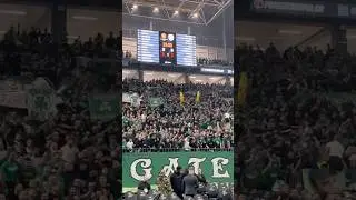&Sigma;&epsilon; &gamma;&nu;ώ&rho;&iota;&sigma;&alpha; &alpha;&pi;ό &pi;&alpha;&iota;&delta;ί &mu;&iota;&kappa;&rho;ό!☘️#paobc #panathinaikosbc #panathinaikos