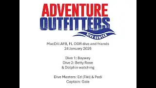 Adventure Outfitters & MacDill ODR boat dive and dolphin watching 24 Jan 2026