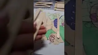 DIY FINGERBOARD PICKNICK TABLE🛹