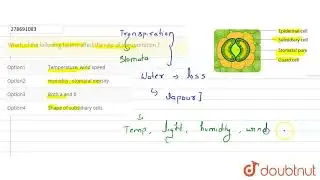 Which of the following factors affect the rate of transportation ? | CLASS 12 | NTA NEET SET 65 ...