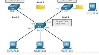 STP 3