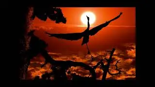 Excerpts and Edits -  Kit Walker - White Crane Spreads Its Wings
