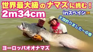 【怪魚】世界最大級のヨーロッパオオナマズに挑む!（大物釣りました〜の巻）【ナマズ】【Wels catfish】【釣りガール】