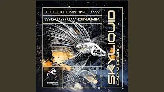 Skyliquid (Cap-M Remix)