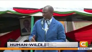 DP assures victims support to end human-wildlife conflict