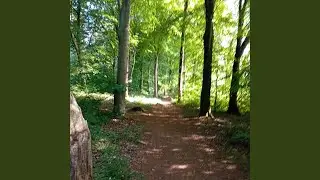 Summer Day