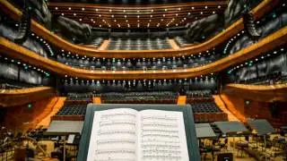 Transitional Music - Fur Elise - Beethoven (20 Seconds)