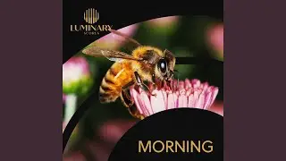 Invisible Flow