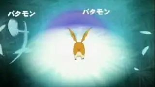Digievoluzione Patamon - Angemon