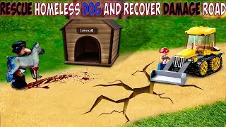 Top Animal Rescue Expert Reveals Best DIY Dog House Techniques