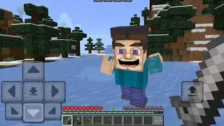O NORMAL STEVE DEĞİL