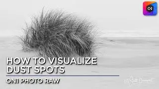 Find And Fix Dust Spots With Visualize Dust In ON1 Photo RAW
