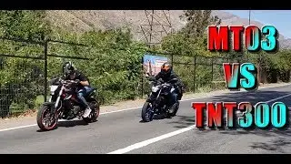 TNT300 VS MT03 |VivoMotos
