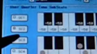 scale pa800