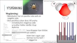 Vatten och vattnets egenskaper
