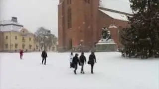 Stormen Sven och medf&ouml;ljande sn&ouml;fall