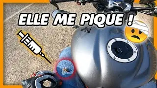 BALLADE AVEC DES ABONNES QUI TOURNE MAL ! 🤕 JE TESTE DEUX 50CC😁 Daily Observation