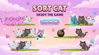 Live sort cat 12