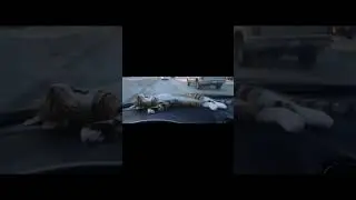 Cat sleeping in the dashboard of a car, funny video 😍😂