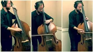 &ldquo;Whiskey in the Jar&rdquo; for double bass trio ; multibass arrangement