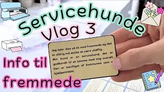 Servicehunde Vlog 3 Informationskort 🤷&zwj;♀️🤷&zwj;♀️🤷&zwj;♀️😱🤔🤯🤷&zwj;♀️🤔🫤🫣🤥🫢🤪🤪🤪🤪🤪🤪