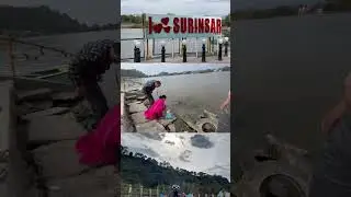 Surinsar Lake, Jammu, J&K.| #shorts #short #trending #tiktok #youtuber #youtubeshorts #ytshorts