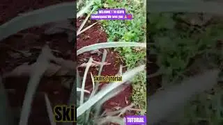Skills Tutorial I land scape #landscape #viral #shorts #weeding #skills #howto #tutorial #ishowspeed
