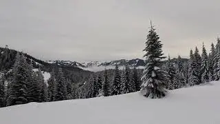 Snoqualmie Nordic - Mount Catherine Loop ++