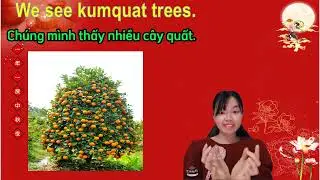 Tet Holiday - for kids
