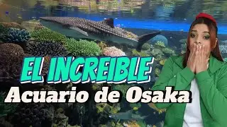 🥇 Entré al Acuario de Osaka y NO estaba preparada para esto 🌊🐋 #parte23