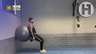 Stability ball squat with dumbbells