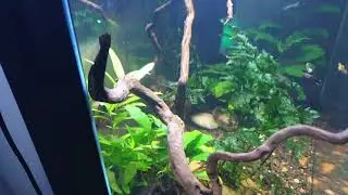 Why deep substrate beds suck!!