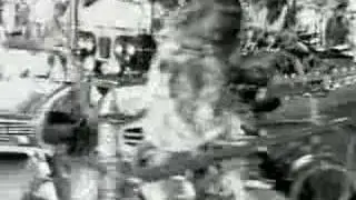 Dear Wolf - Summertrain
