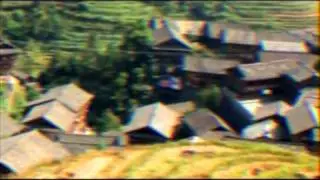Microfeel-Rice Rising