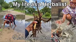 Life As A Modern Day Herbalist | Healing my Grandma with Traditional Medicine