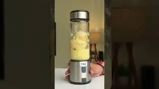 Agaro Juicer 