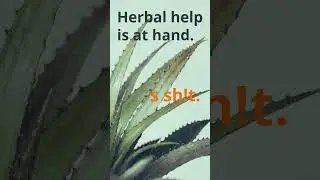 Having tummy troubles - bloating, sluggish, sore? #aloe #guthealth #digestivehealth #digestion