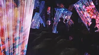 Цифровое искусство: в Японии открыли крупнейший музей teamLab