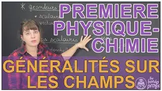 Généralités sur les champs - Physique-Chimie - 1ère - Les Bons Profs