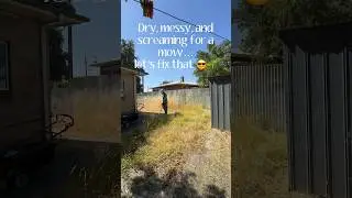 How to Fix a Dry, Messy Yard with a Simple Mow