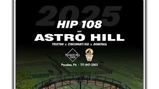 Astro Hill (Trixton x Cincinnati Kid) Lot 108
