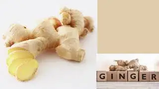 Vegetables Names | Vegetables name in English | Preschool learnings | Vegetables Pictures |